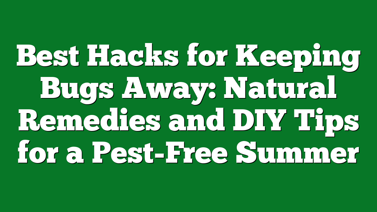 Best Hacks for Keeping Bugs Away: Natural Remedies and DIY Tips for a Pest-Free Summer