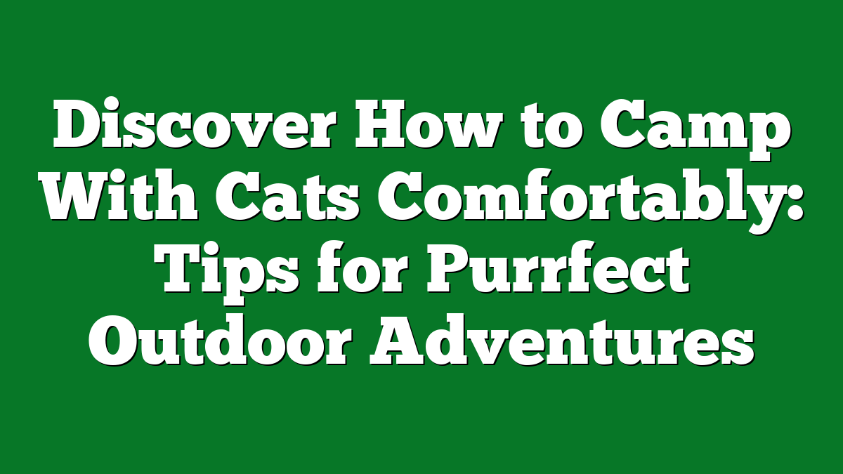 Discover How to Camp With Cats Comfortably: Tips for Purrfect Outdoor Adventures