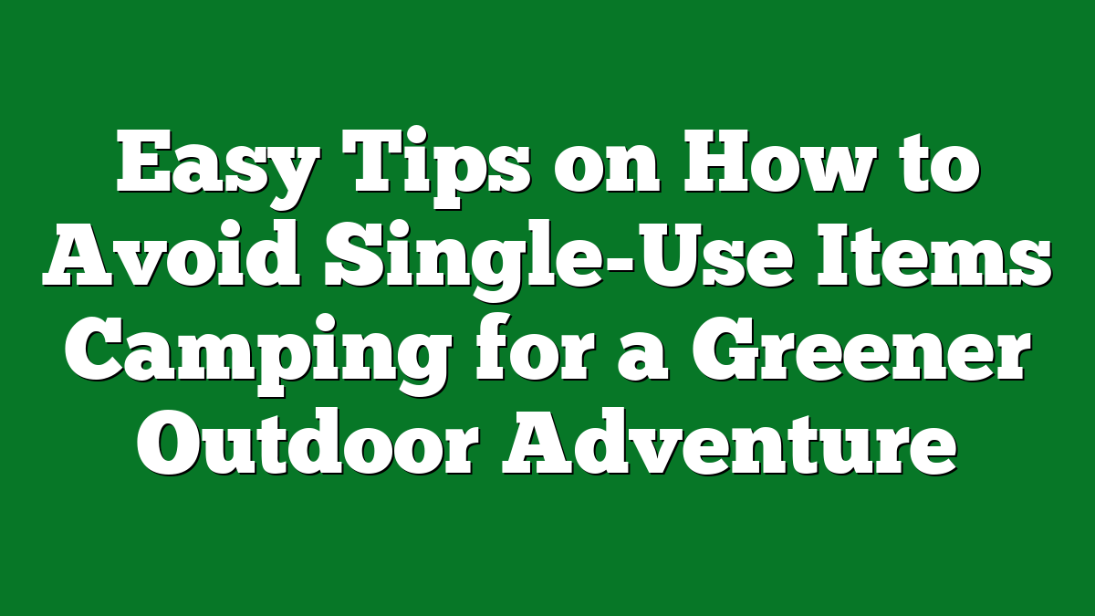 Easy Tips on How to Avoid Single-Use Items Camping for a Greener Outdoor Adventure
