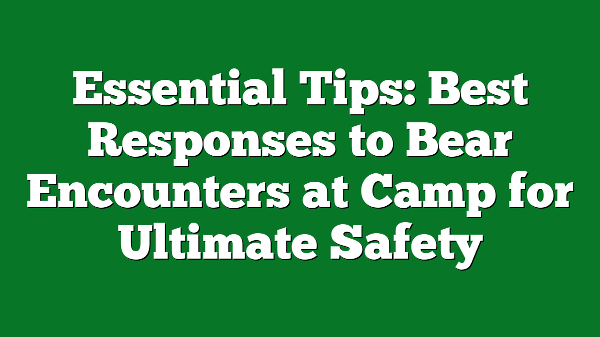 Essential Tips: Best Responses to Bear Encounters at Camp for Ultimate Safety