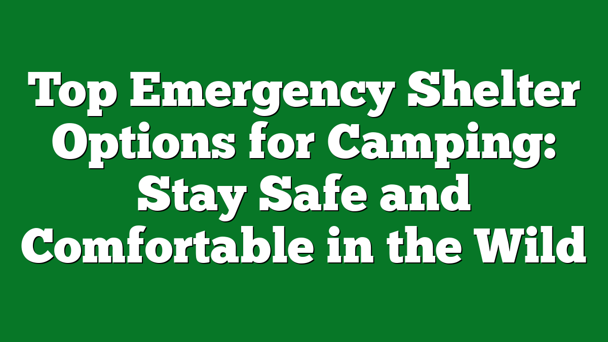 Top Emergency Shelter Options for Camping: Stay Safe and Comfortable in the Wild