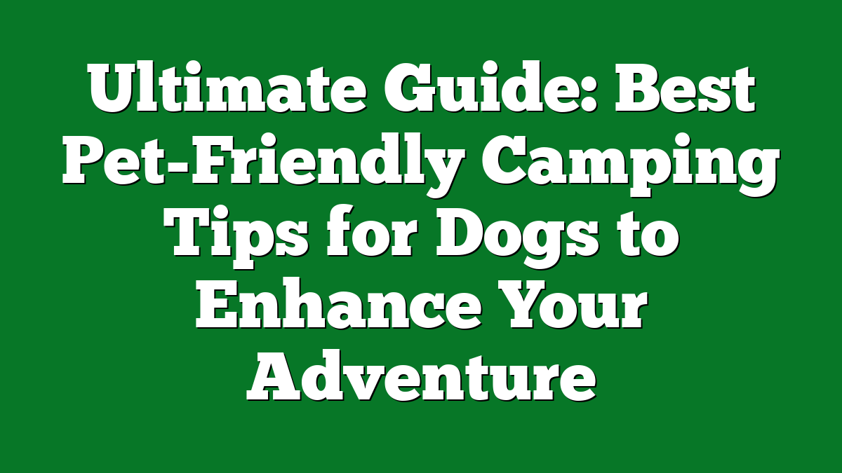 Ultimate Guide: Best Pet-Friendly Camping Tips for Dogs to Enhance Your Adventure