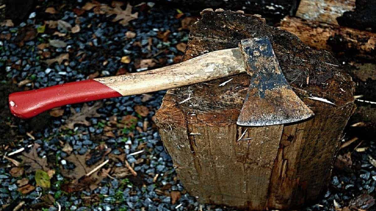 Best Hatchets for Camping